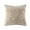 Leopard, variant on Gracie Mills Faux faux Square Pillow GRACE-3531 Reversible Lux Micro faux 18x18