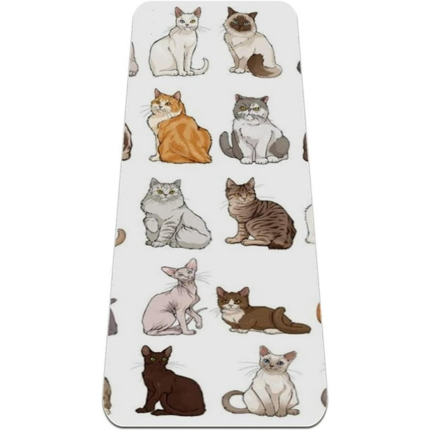 Yoga Mat Cute Cartoon Cat Gym For Yoga Mats, Indoor And Outdoor Non-Slip  Exercise Mats, And Pilates Fitness And Floor Workouts 