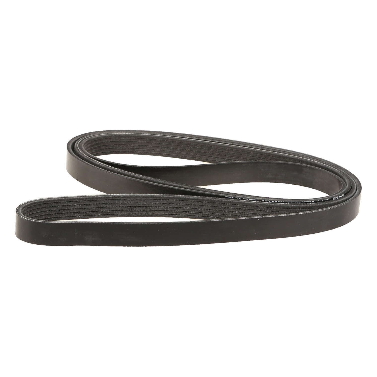 Dayco Poly Rib Belt Sepentine Belt Drive Belt