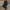 Black1, variant on DondPO Fleece Lined Pants Women 2024 Spring and Autumn Winter Casual Pants Loose All Tie Leg Sports Pants Fleece Lined Joggers Women Warm Pants for Women