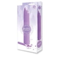thumbnail image 2 of Sex toy Gift Set bundle of Pastel Vibes, Lavender And Icon Brands Triad 3 Way Butt Plug, Textured, 2 of 5