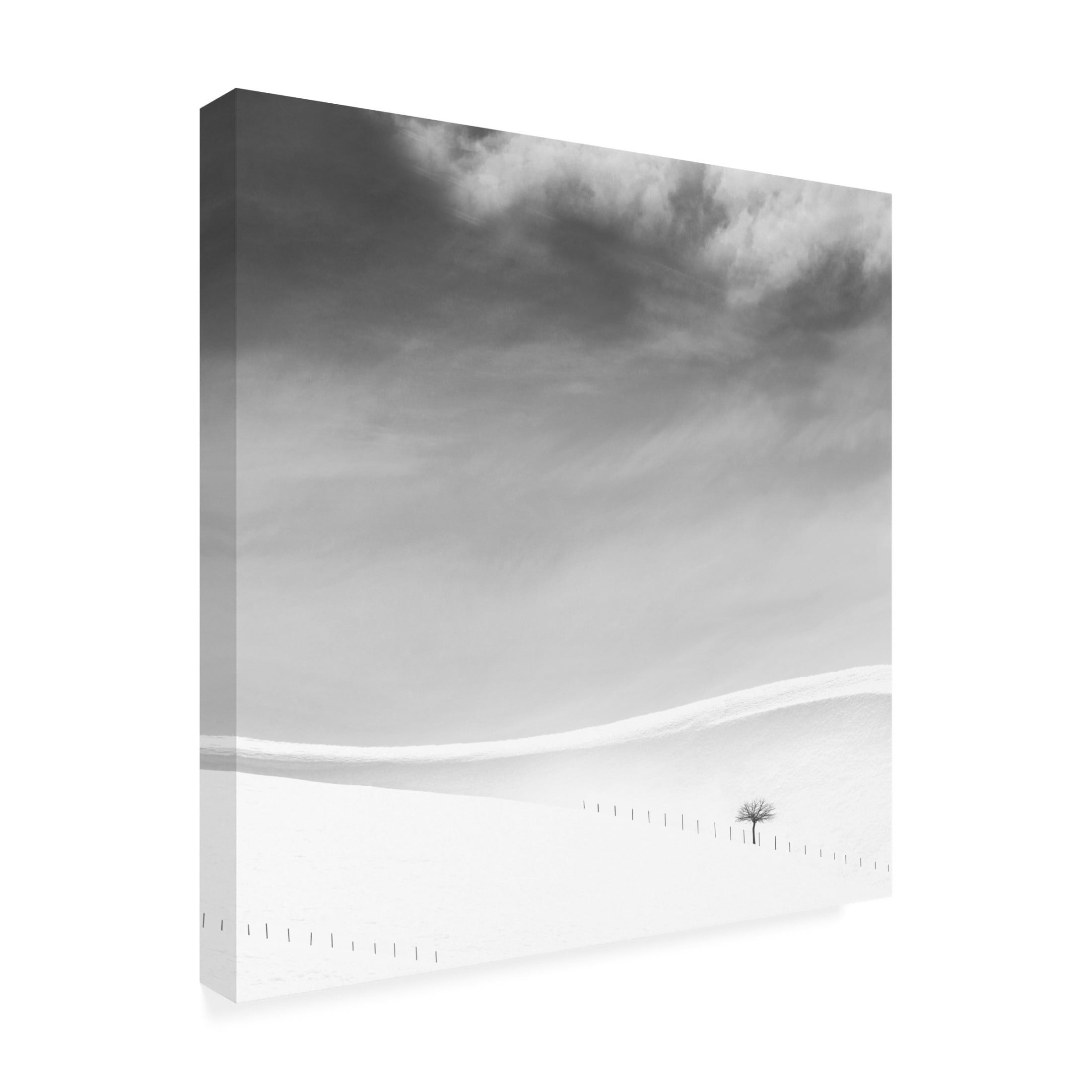 Trademark Fine Art MOSTAFA NODEH Single Tree Canvas Wall Art