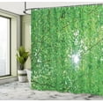 thumbnail image 5 of Ambesonne Nature Shower Curtain, Sun with Tree Branches, 69"Wx70"L, Green, 5 of 5