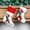 A, variant on Christmas Tree Hanging Mini Stockings Decoration Small Candy Gift Bag Santa Claus Decorative Little Socks Xmas New Year Ornament Party Decor (A)