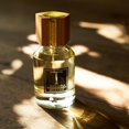 thumbnail image 4 of Perfume CRISTIANA BELLODI T Eau de Parfum 100 ml para mujeres y hombres, 4 of 5