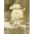 thumbnail image 2 of Allen, Kimberly 25x32 Gold Ornate Wood Framed with Double Matting Museum Art Print Titled - Early Blooming, 2 of 4