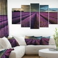 thumbnail image 1 of Lavender Field and Dramatic Sky - Floral Canvas Art Print, 1 of 3