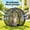 Black,L, variant on YZAPOII Cat Hamster Ball, Portable Rolling Catio with Foldable Breathable Mesh and Zipper for Outdoor Lawn and Backyard Play, Pet Supplies