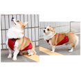 thumbnail image 2 of Lishi Warm and Waterproof Short Plush Pet Apron for Small Pets - Orange, 2 of 9