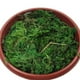 thumbnail image 3 of 1 unid simulado musgo musgo artificial decorativo imitado adorno de planta (verde), 3 of 6