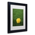 thumbnail image 4 of Trademark Fine Art "A Lone Yellow Tulip" Canvas Art by Kurt Shaffer, White Matte, Black Frame, 4 of 4