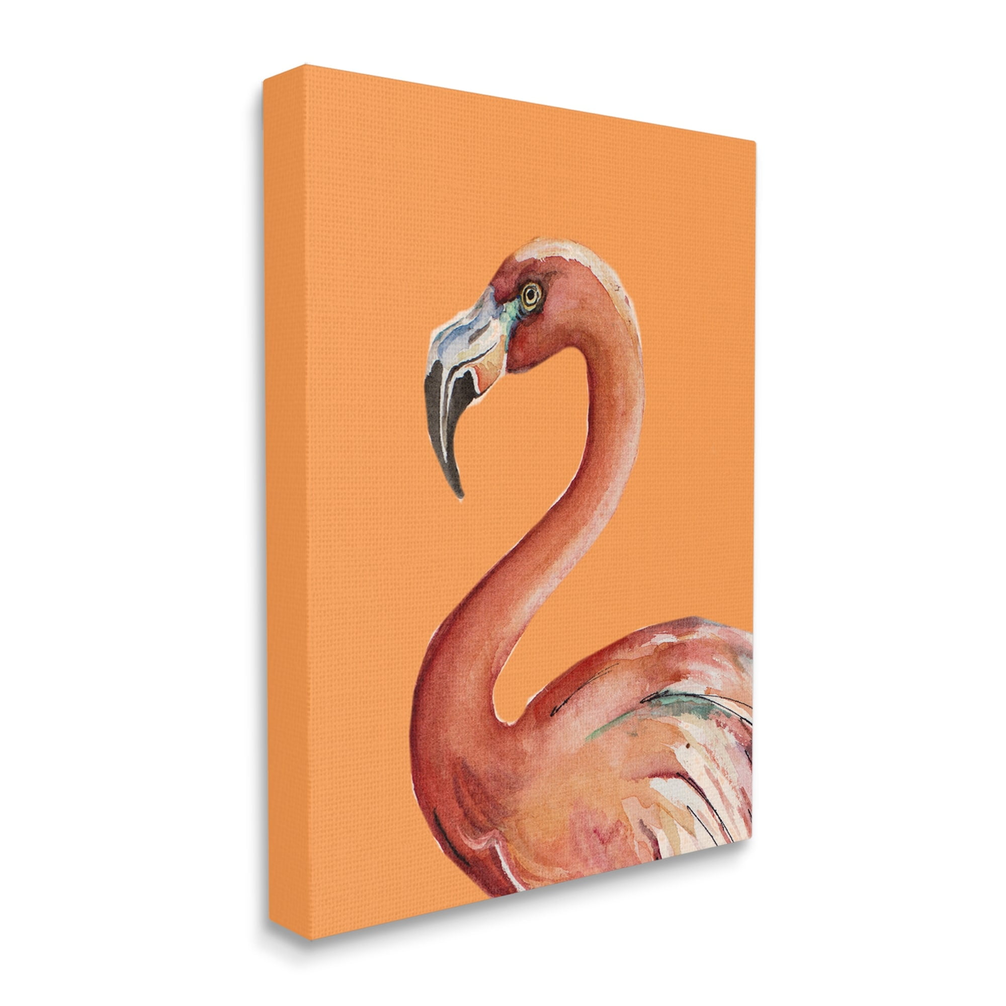 Stupell Industries Tropical Flamingo Bird Portrait Watercolor Detail Graphic Art Gallery Wrapped Canvas Print Wall Art, Design by Patricia Pinto