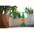 thumbnail image 4 of Miracle-Gro Succulent Plant Food 236mL, 4 of 5
