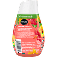 Renuzit Adjustable Solid Gel Air Freshener Cone, Hawaiian Sunset