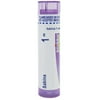 Boiron Sabina 1M, Homeopathic Medicines for Heavy Menstrual Flow, 80 Pellets