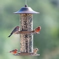 thumbnail image 2 of Perky-Pet Bronze Panorama Wild Bird Tube Seed Feeder - 4.5 lb Capacity, 2 of 12