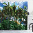 thumbnail image 1 of Ambesonne Summer Shower Curtain, Hawaii Island Palm Tree, 69"Wx84"L, Green Blue Brown, 1 of 3
