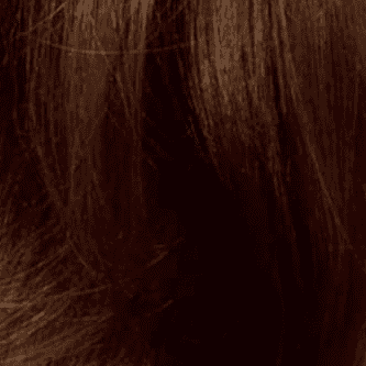 5RB Medium Reddish Brown
