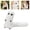 #-01White, variant on The latest Halloween models for 2026 2PCS Witch Hat Atelier Brushbug Plush Doll, White Worm Soft Stuffed Animal,Cute Anime Collectible Plush Toy for Cosplay Decor Fans Gift Animal character plush toy