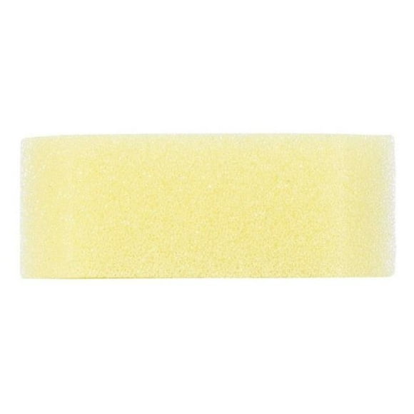 Foam Pro 41 Colormatch Applicator