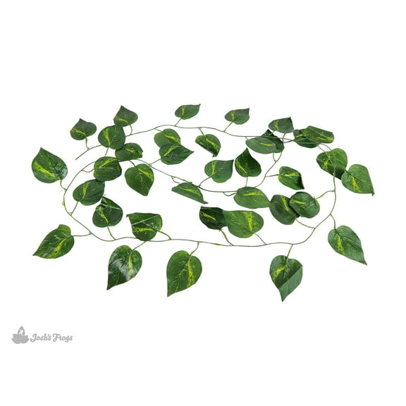 Josh's Frogs Artificial Reptile Evergreen Climbing Vine