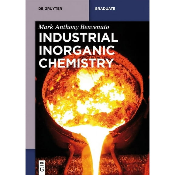 de Gruyter Textbook Industrial Inorganic Chemistry, (Paperback)
