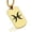 Gold, variant on Stainless Steel Pisces Zodiac Sign (Two Fishes) Dog Tag Pendant Necklace