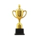 thumbnail image 2 of Trofeo de premio, trofeo, accesorio de trofeo pequeño para adultos y niños, copa de trofeo 23cm, 2 of 9