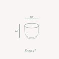 thumbnail image 4 of Bloem Enzo 4" Plastic Round Decorative Planter, Vanilla Bean, 6-Pack, 4 of 8