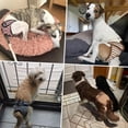 thumbnail image 6 of Dog Diapers for Small to Large Dogs, Absorbent Female Dog Diapers for Dogs in Heat, Excitable Urination, or Incontinence, Washable and Reusable, Pack of 3, 6 of 6