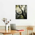 thumbnail image 2 of BCIIG Sunlight Through Branches Fine Art Aesthetic Poster & Print Wall Painting for Home Office Decor Pictures Wall Art Canvas Living Room Bedroom 12x16 in, 2 of 5