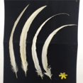thumbnail image 4 of Maoww Plumes de Queue de Coq Teinture 10 Pcs Blanc, 4 of 5