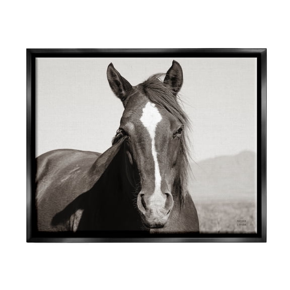 Stupell Industries Windblown Stallion Portrait Animals & Insects Photography Black Floater Framed Art Print Wall Art, 21 x 17
