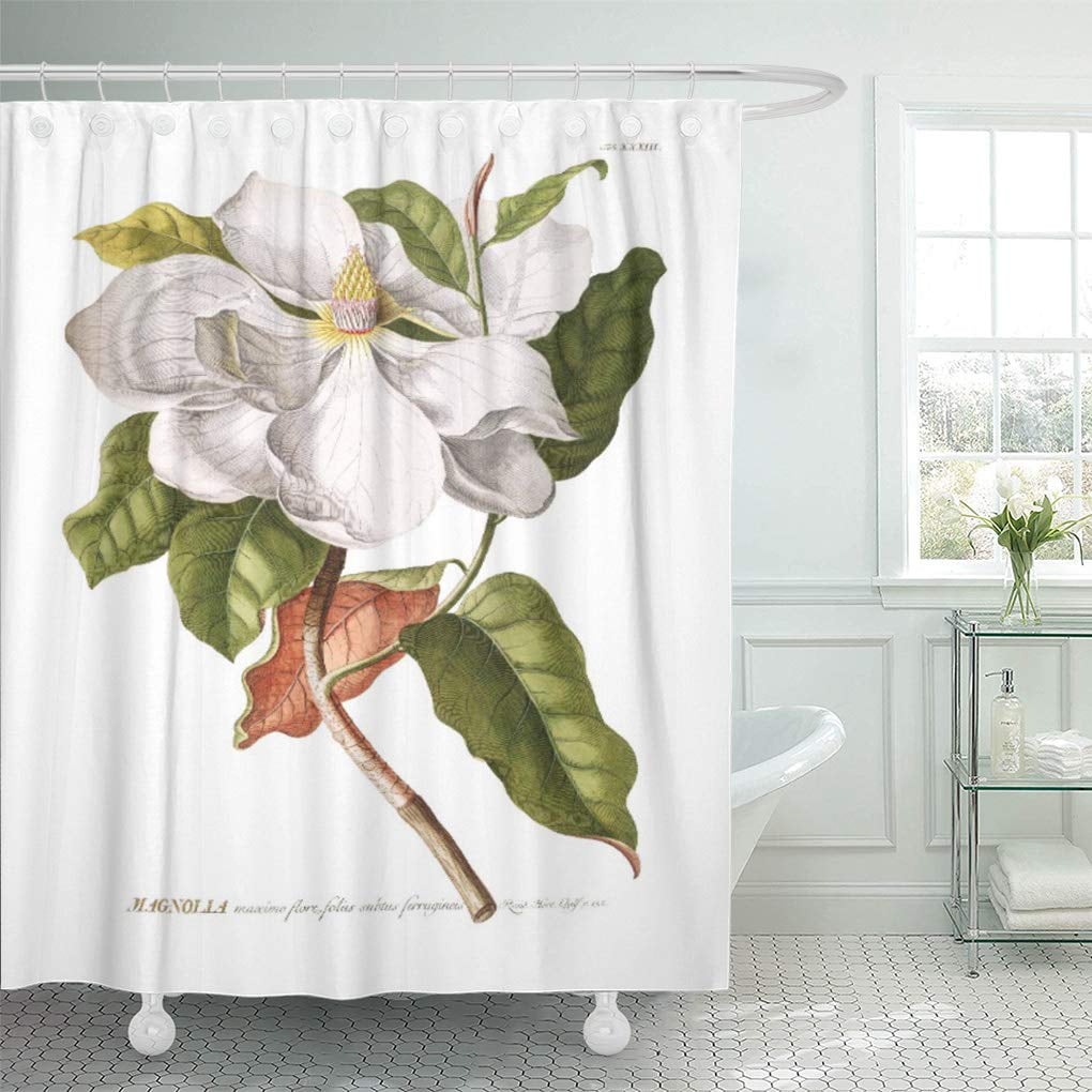 CYNLON Friut Magnolia Vintage Botanical Painting Flower Floral Botany