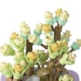 thumbnail image 3 of Bloques Construcción Suculentos Micropartículas Plantas en Macetas Simuladas Ensambladas para Adornos Modelo Mesa Escritorio Con Flores (P1256) Día Soleado en Pleno Verano (263PCS), 3 of 9