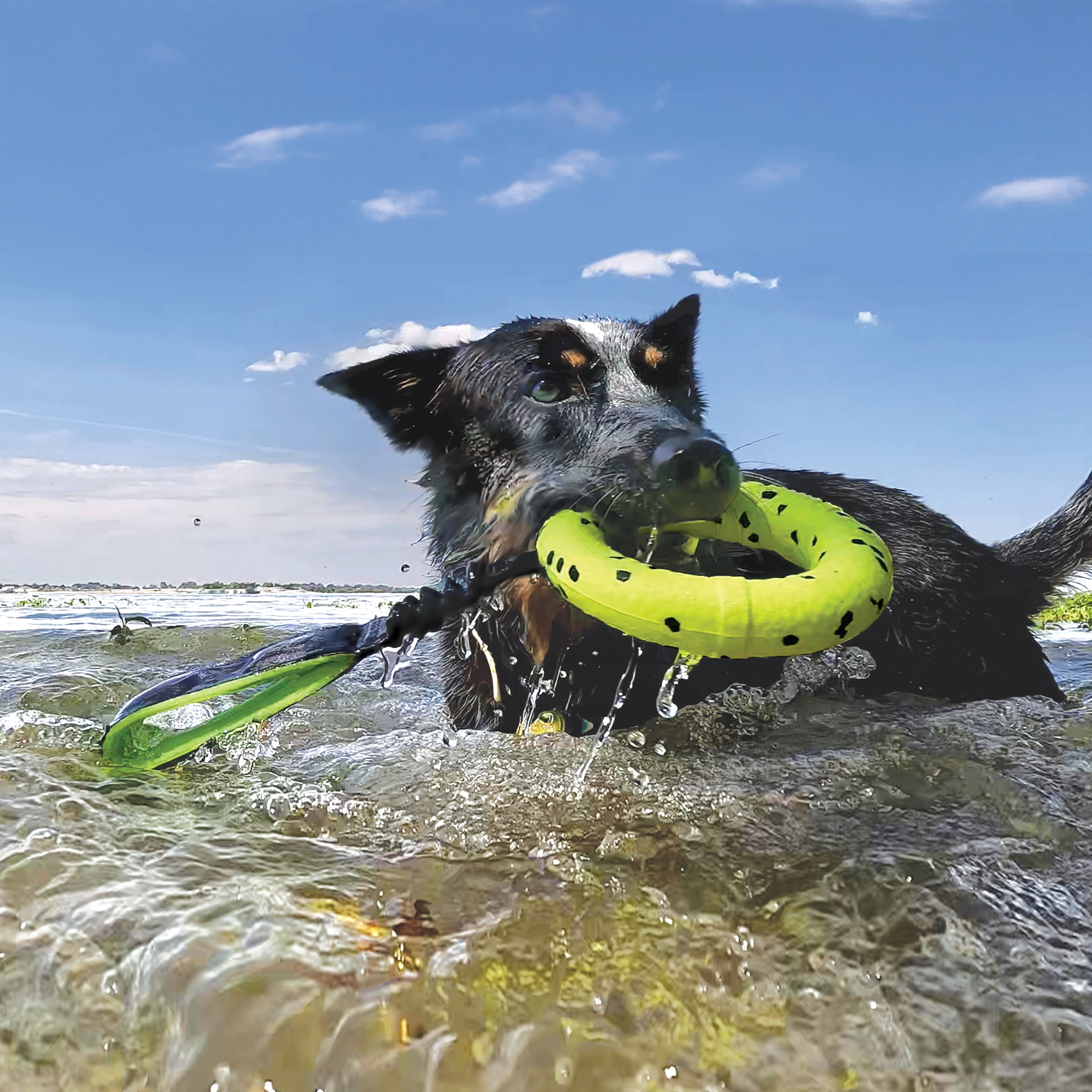 KONG® Reflex Tug Floating Dog Toy