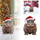 thumbnail image 1 of Tarjetero Con Hipopótamo Con Gorro De Papá Noel En Navidad Tarjetero Decorativo De Acrílico Plano En 2D Decoración Navideña Para Tu Rincón Y Para Realzar El Ambiente Navideño, 1 of 7