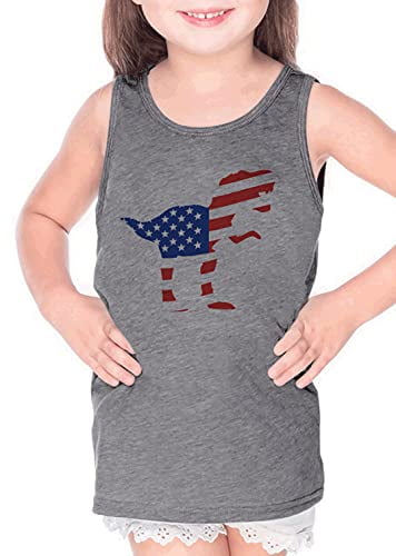 7 ate 9 Apparel Kids 4th of July Flag Dinosaur Dino Grey Tank Top 7 ate 9 Apparel Kids 4th of July Flag Dinosaur Dino Grey Tank Top