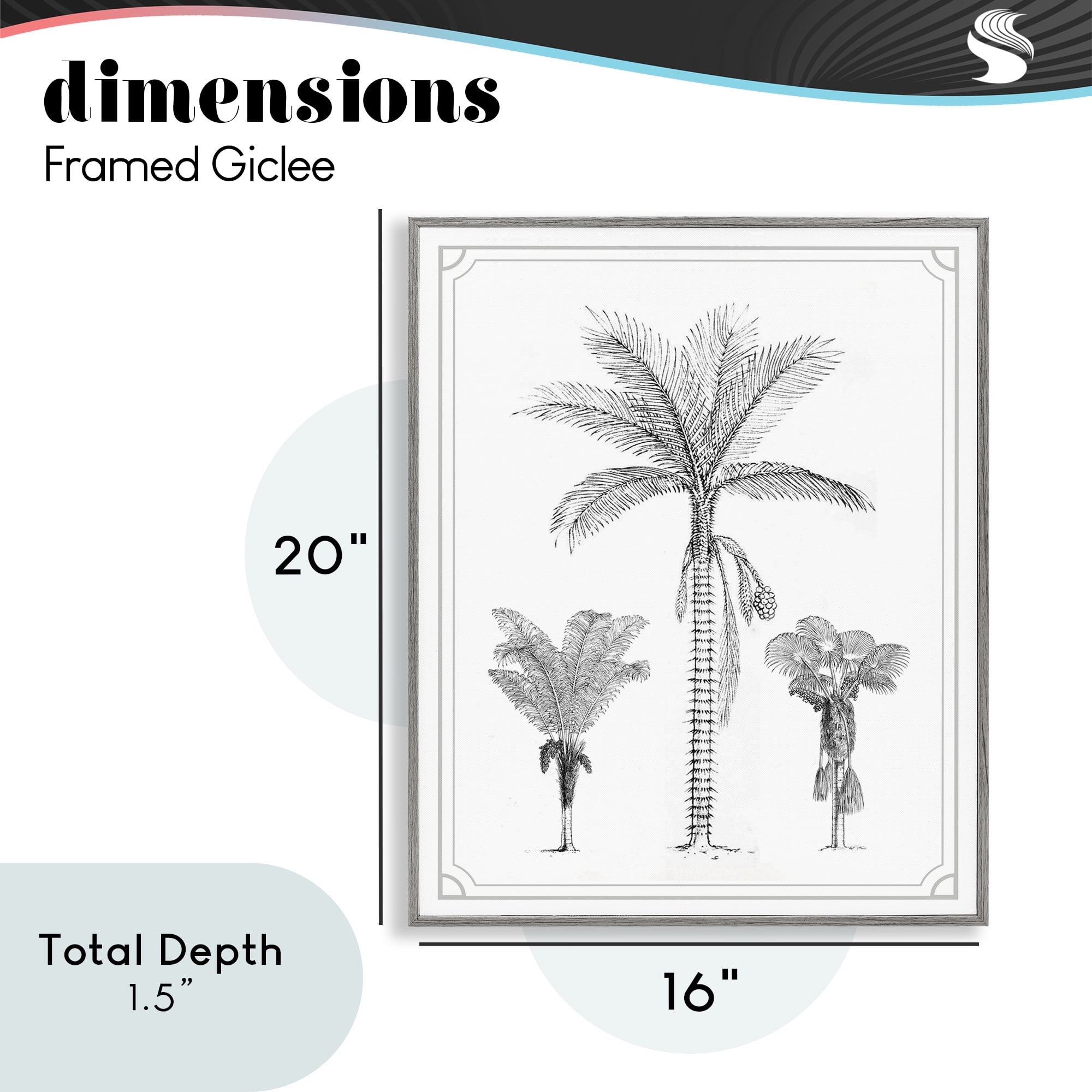 Palm Tree Trio Sketches Gray Framed Giclee Art, design by Lettered and Lined