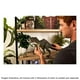thumbnail image 2 of Dinosaurio de Juguete MATTEL Jurassic World Hammond Collection Gigantosaurus, 2 of 4