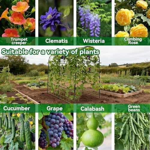 Garden Arch Trellis for Climbing Plants Outdoor - 83" H*71" W*43" L Large Rustproof Garden Trellis, Heavy Duty Grape Trellis, Tunnel Trellis for Melons, Pumpkins, Cucumbers, Peas(Black)