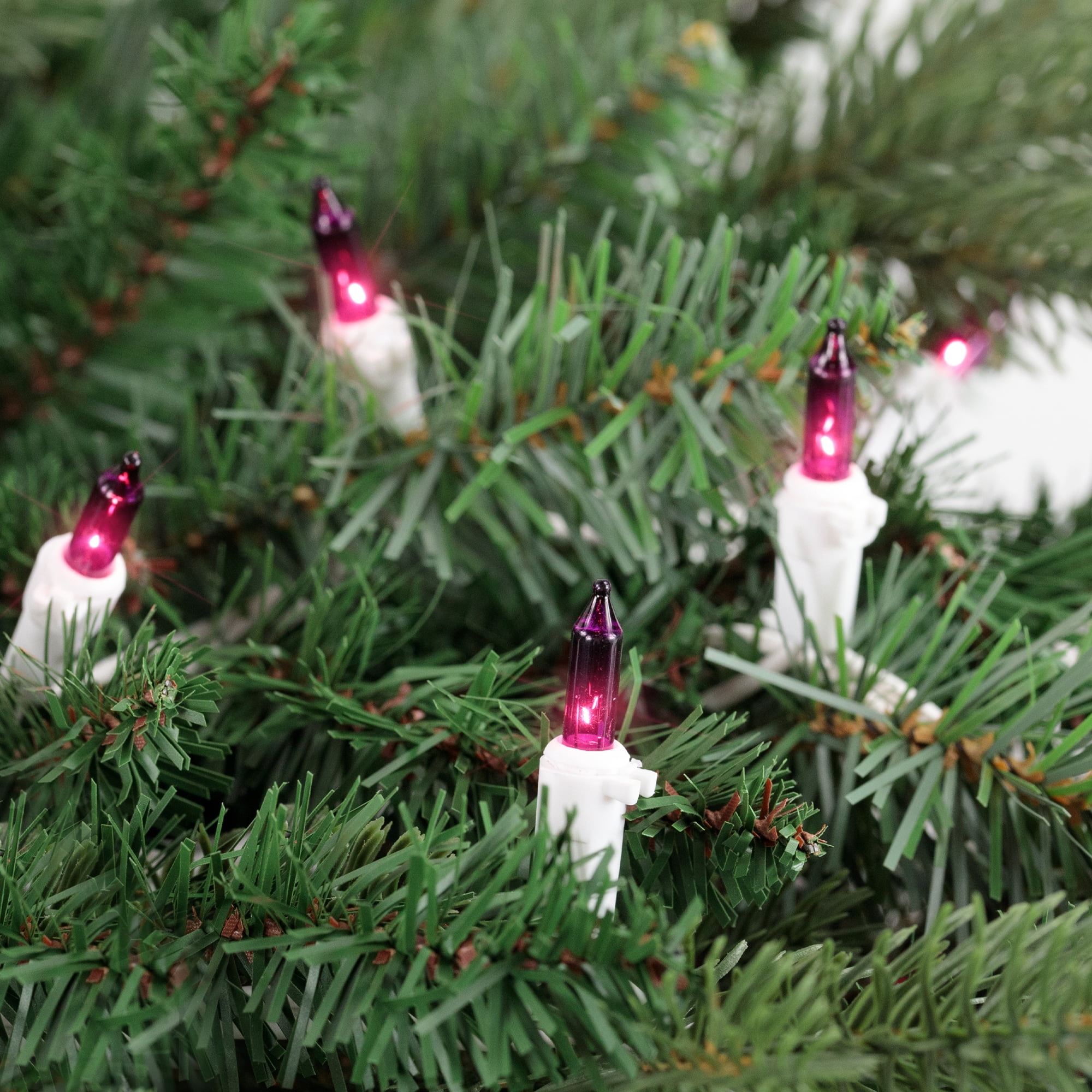 Set of 50 Purple Mini Christmas Lights 2.5" Spacing - White Wire