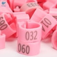 thumbnail image 4 of Deago 100 Pcs Bird Rings Leg Bands For Pigeon Parrot Lovebird Coturnix Quail Chicken Goose Turkey Clip Rings Number 1-100 (Pink), 4 of 9