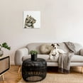 thumbnail image 2 of Stupell Industries Simple Tabby Cat Gaze Family Pet Portrait Graphic Art Gallery-Wrapped Canvas Print Wall Art, 24x24, by Victoria Barnes, 2 of 5