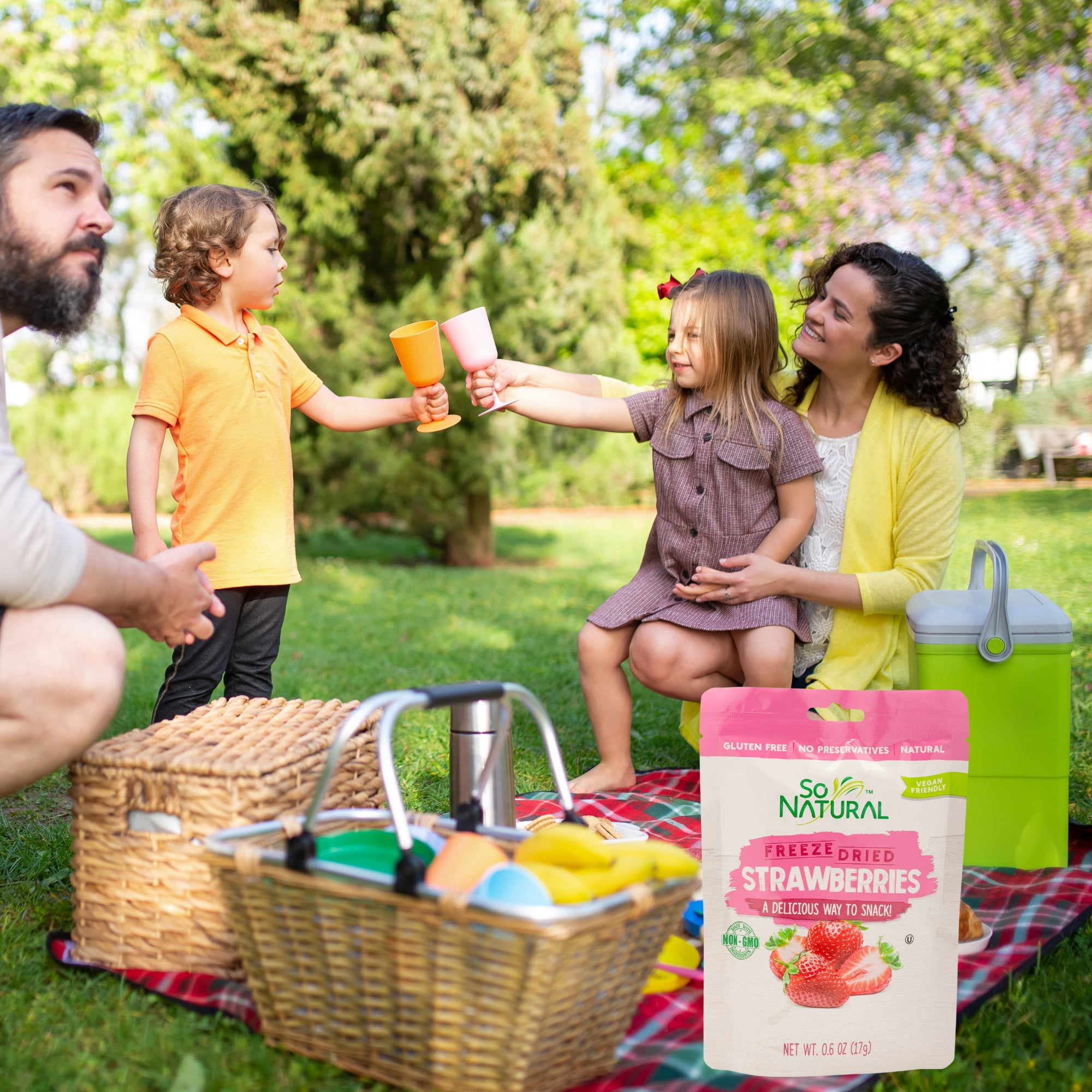 So Natural Freeze Dried Strawberry Slices, Non-GMO Gluten Free and Vegan-Friendly Fruit Snacks with Light Crunchy On The Go Snacking Kids Adults Lunchbox Lunch Travel Pantry Stock 0.6oz Pack of 3