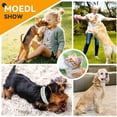 thumbnail image 4 of Spiked Dog Collar Soft Pu Leather Funny Mushrooms Rivet Spike Studded Puppy Collar Adjustable Outdoor Pet Dog Collar for Small Medium Large Dogs Cats, 4 of 7