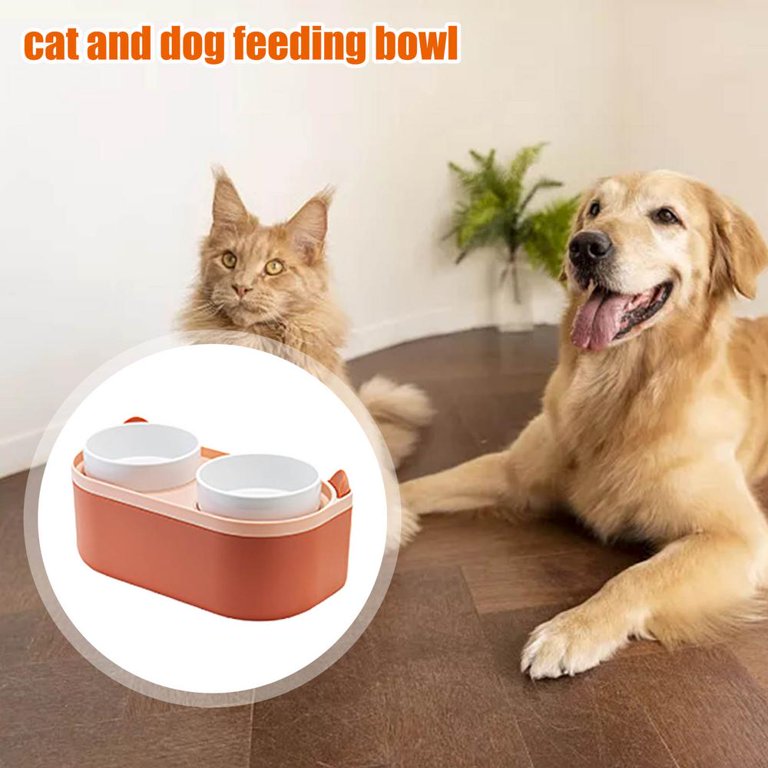 Elevated Pet Feeder with Stoage for Dogs and Cats