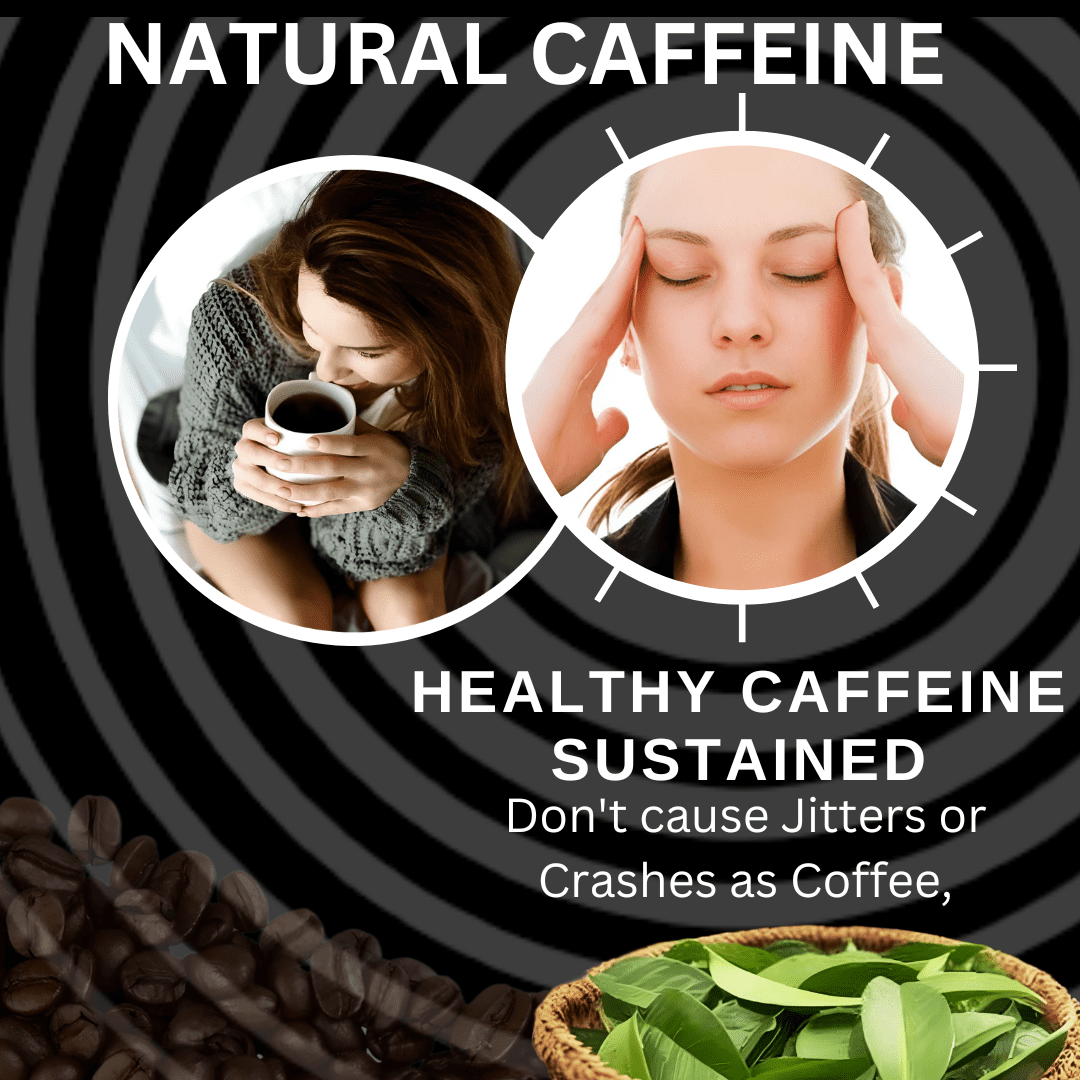 Amazonian Treasure, Organic Guayusa Tea Bags - 60 Count, Coffee Alternative, 50mg Natural Caffeine, Energy & Focus Booster, Freshness Preserving Tin, Perfect for a Gift.