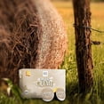 thumbnail image 5 of Coffee Brand Coffee Maple Creme K-Cups | Medium Roast Arabica Flavored, Compatible with All K-Cup Brewers |  12 pack, 5 of 8