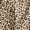 Old Ivory Cream Leopard, variant on Wonder Nation Baby Girls Bow Top and Paperbag Waist Pants Set, 2-Piece, Sizes 0/3M-24M